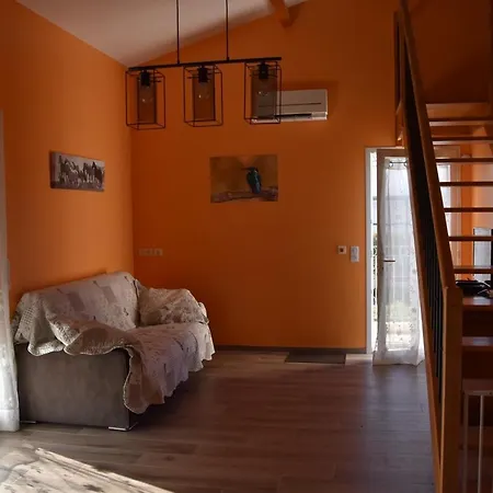 Pmr Evasion Camarguaise Beauvoisin (Gard)